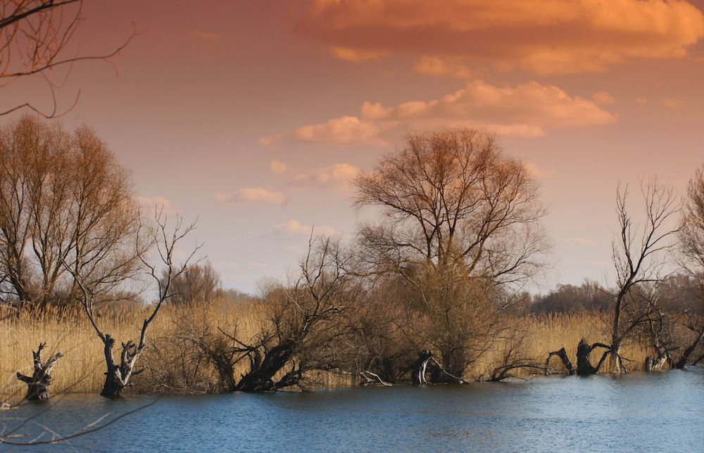 River Bank