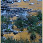 River breamish at dusk 5