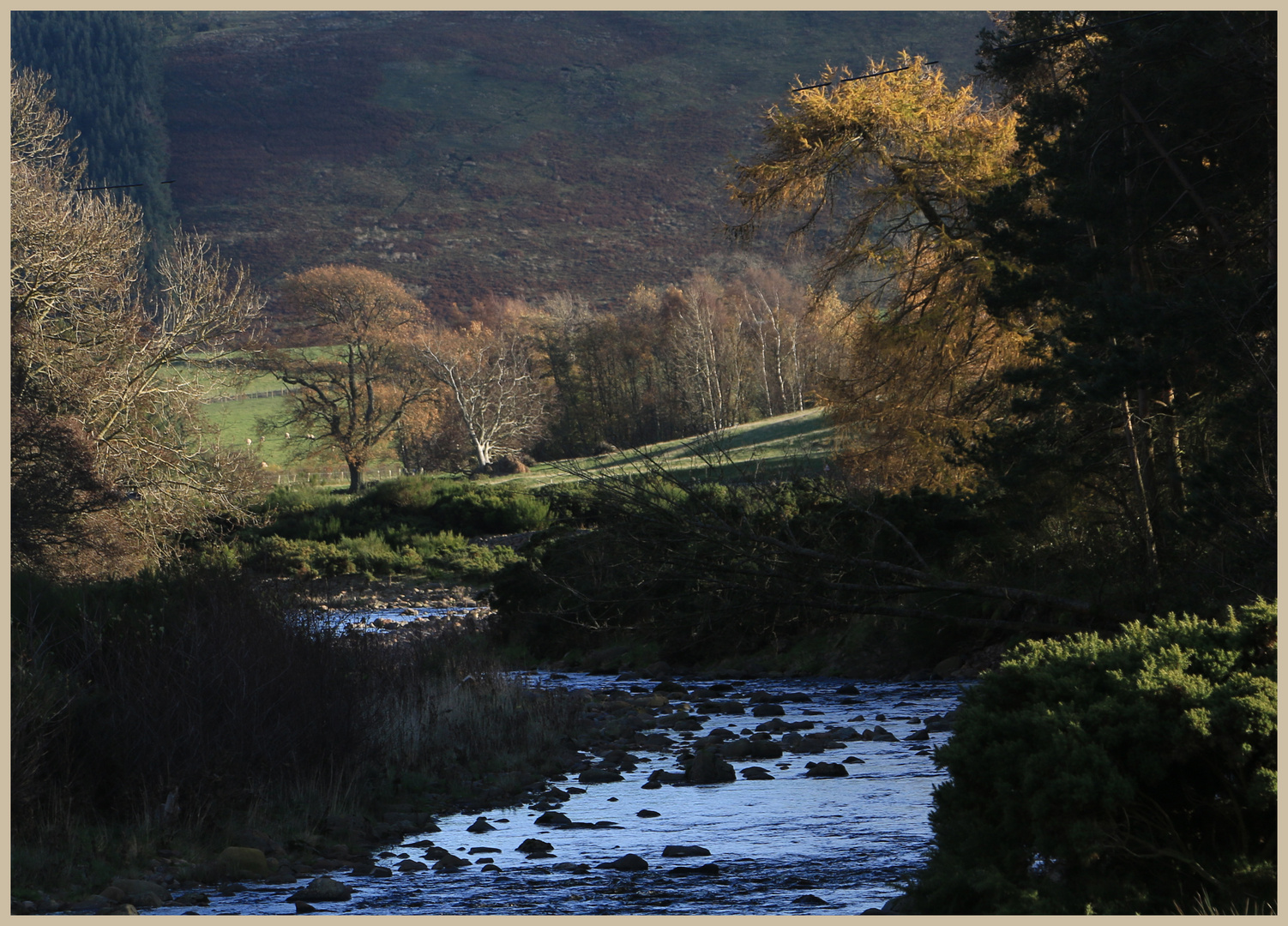 River breamish near Ingram 10