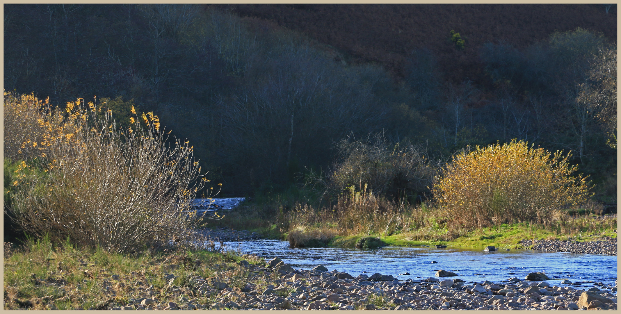 River breamish near Ingram