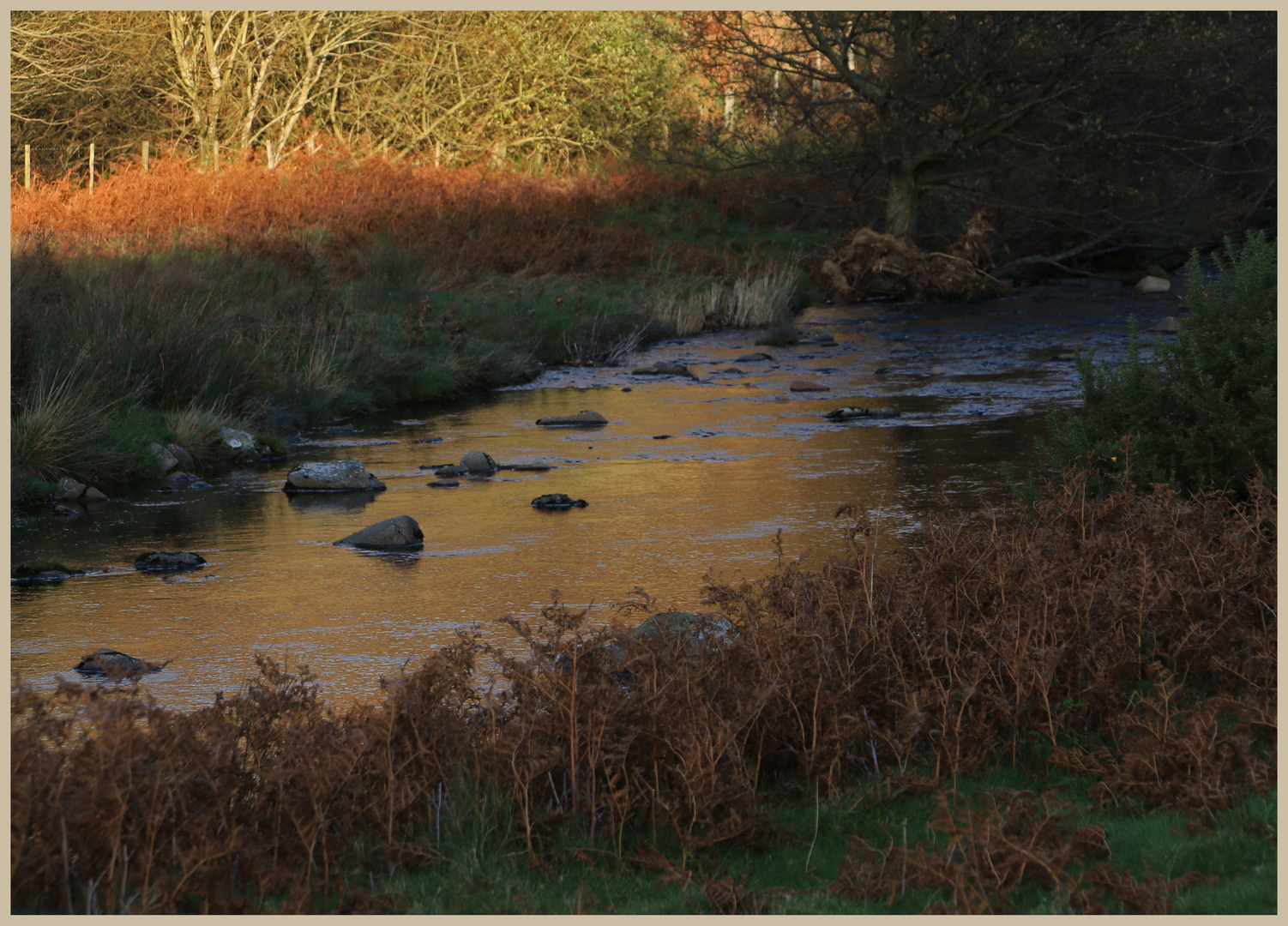 River breamish near Ingram 5
