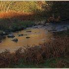 River breamish near Ingram 5