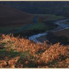 River breamish near Ingram