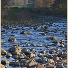 River breamish near Ingram 7