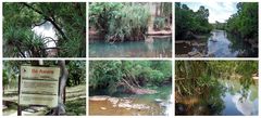 River Collage