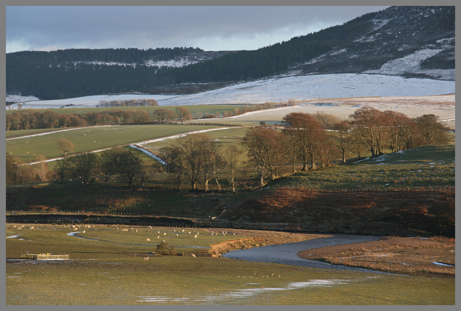 River Coquet near Hepple Northumberland