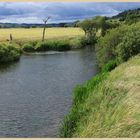 River Coquet near Rothbury