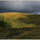 River Coquet near shillmoor