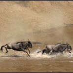 river crossing