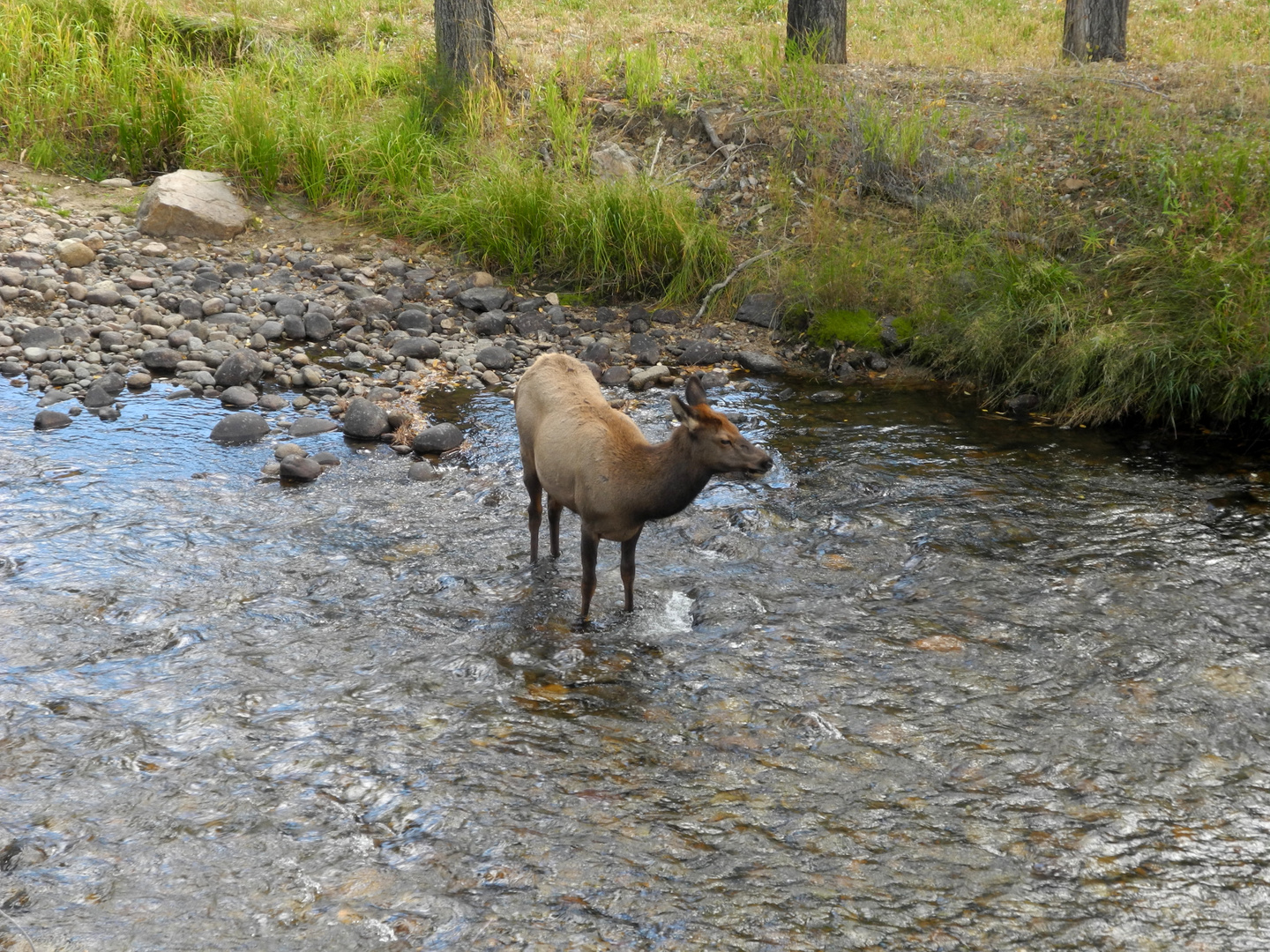 River Crossing