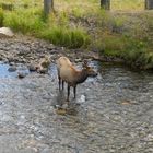 River Crossing