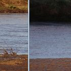 River crossing - Samburu - Buffalo Springs