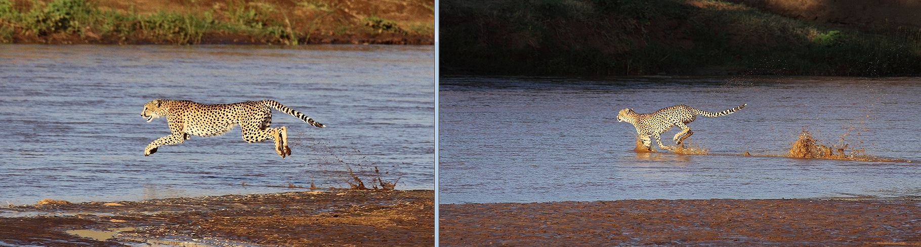 River crossing - Samburu - Buffalo Springs