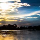 River Cruise 2, Okavango, Namibia
