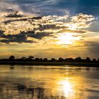 River Cruise 3, Okavango, Namibia