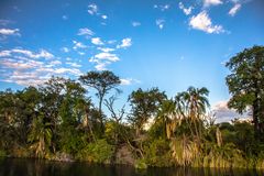 River Cruise 4, Okavango, Nambia