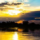 River Cruise 5, Okavango, Namibia