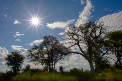 River Cruise, Kwando, Namibia