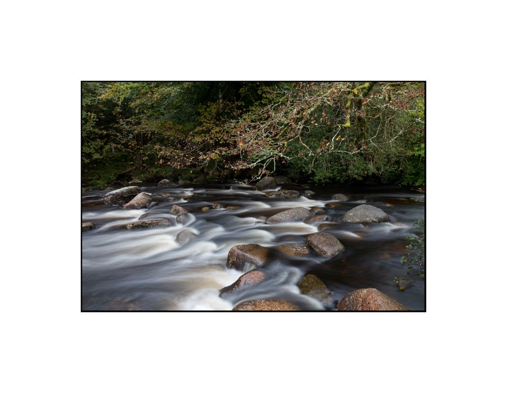 River Dart