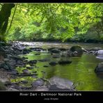 River Dart