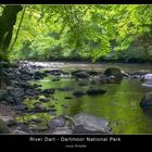 River Dart