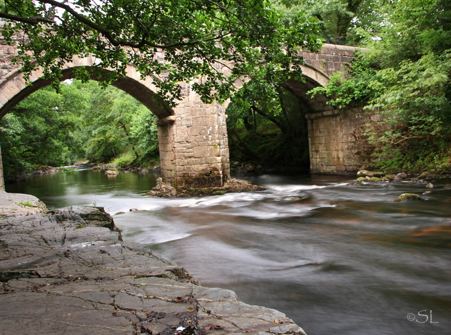 River Dart