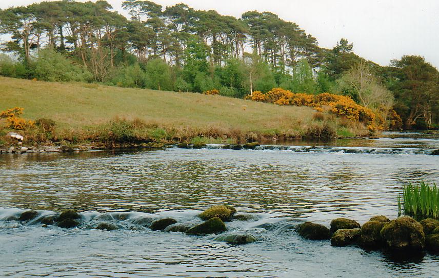 River Drowes