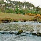 River Drowes