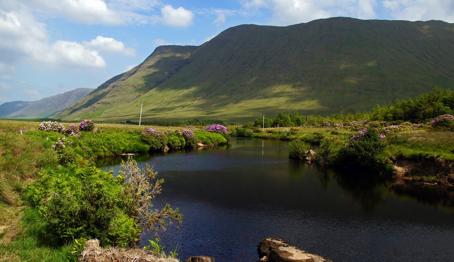 River Erriff