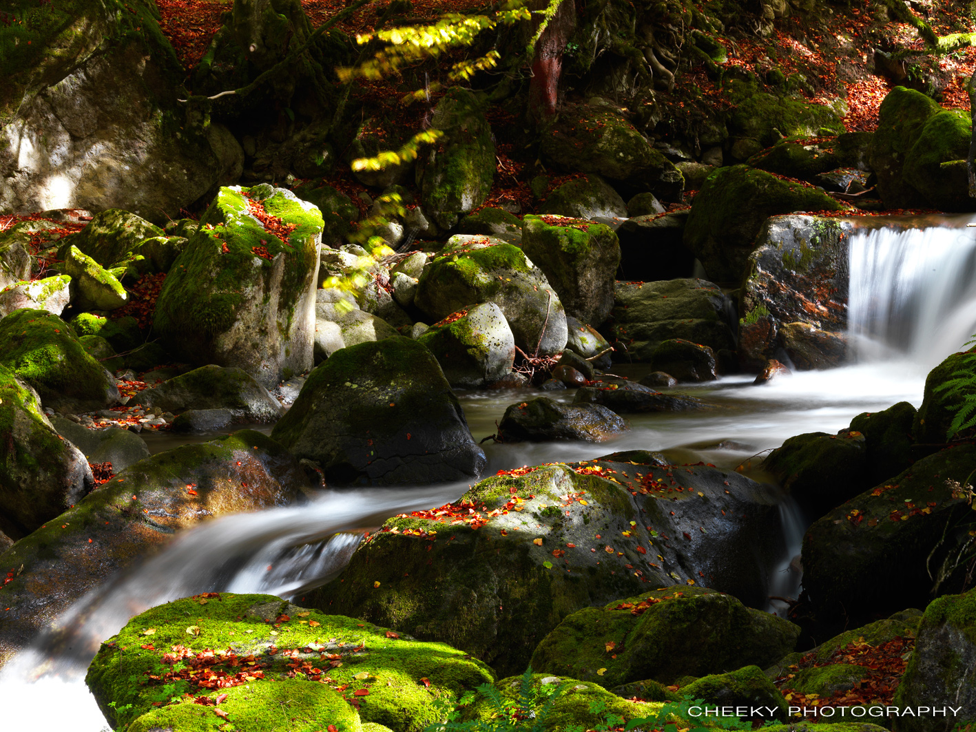 River flowing in autumn