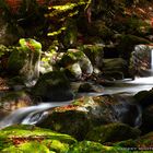 River flowing in autumn