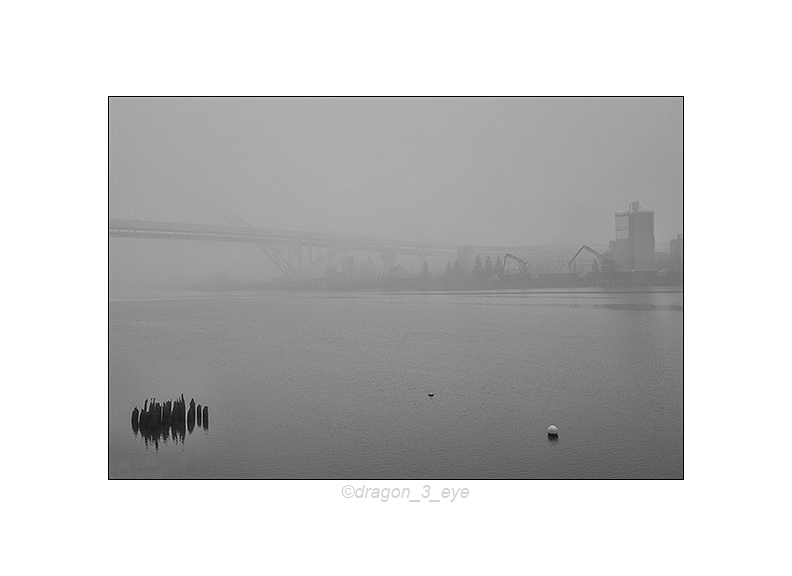 River Fog 