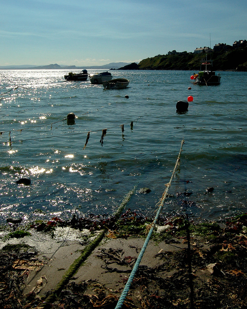 River Forth from Kinghorn Harbour, Fife