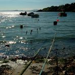 River Forth from Kinghorn Harbour, Fife