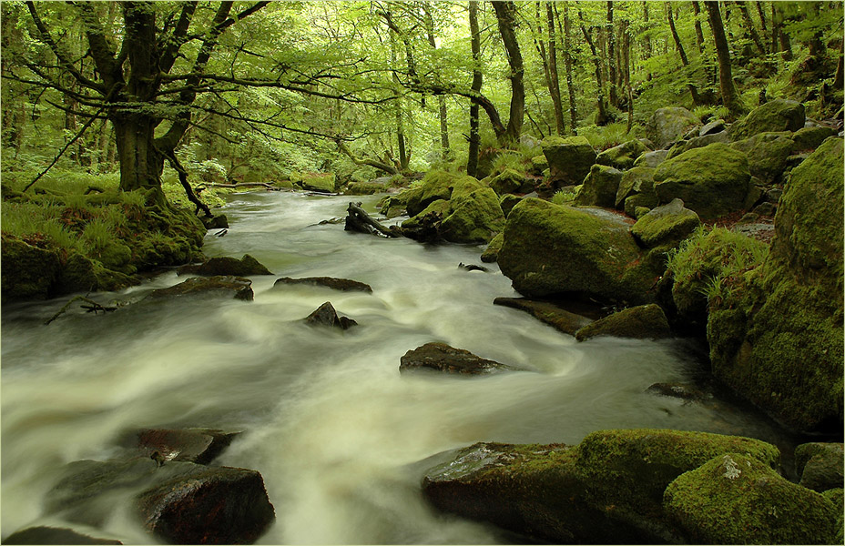 River Fowey