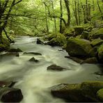 River Fowey