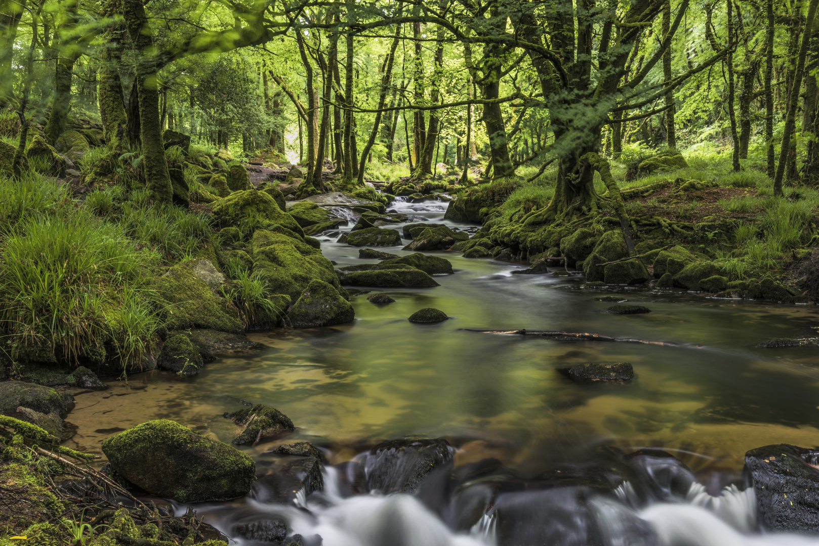 *River Fowey*