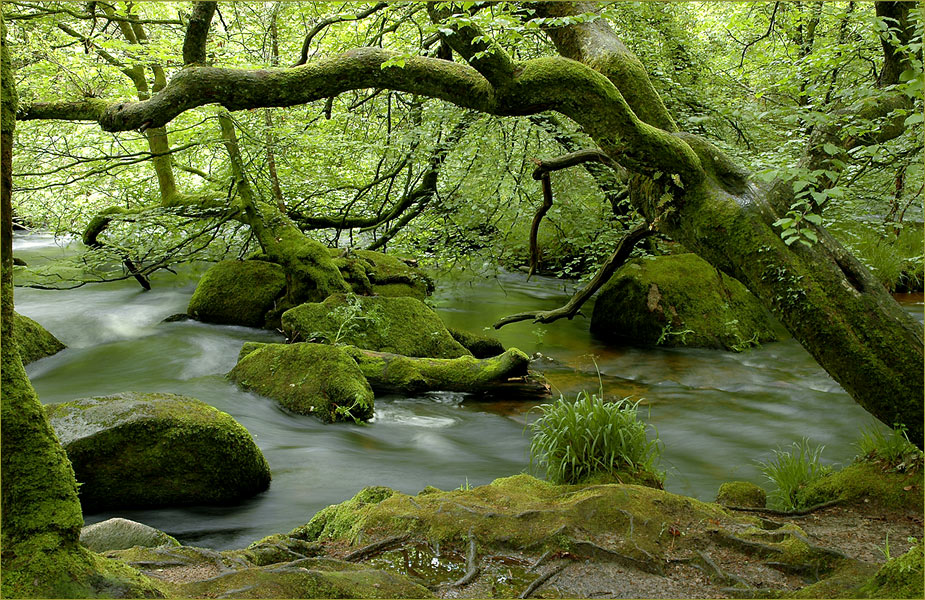 River Fowey, Cornwall