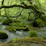 River Fowey, Cornwall