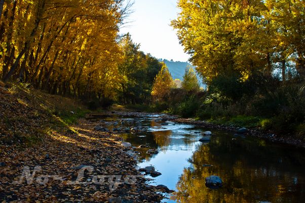 RIVER IN AUTUMN