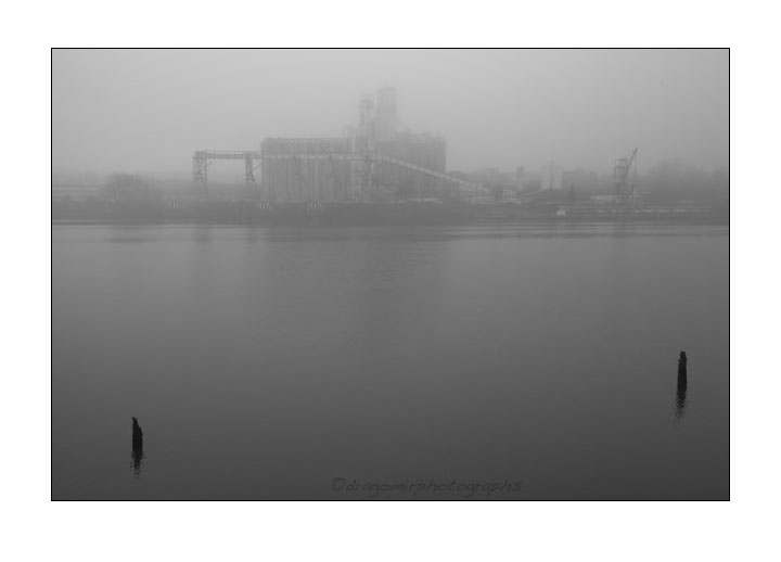 River In Fog 2