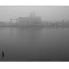 River In Fog 2