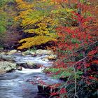 River in Tennessee