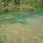 river Krka (4)