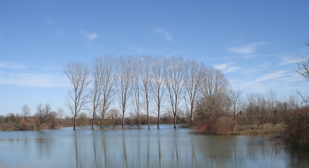 River Kupa flooded land