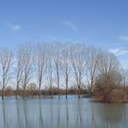 River Kupa flooded land