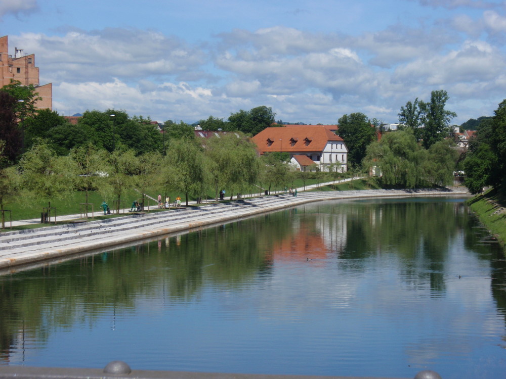 River - Ljubljanica