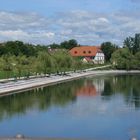 River - Ljubljanica