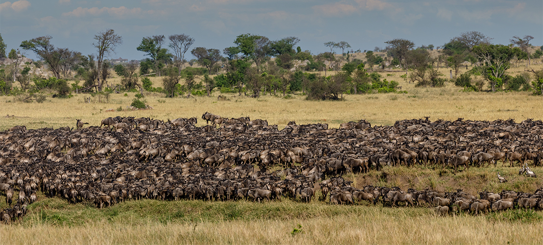 River Mara crossing