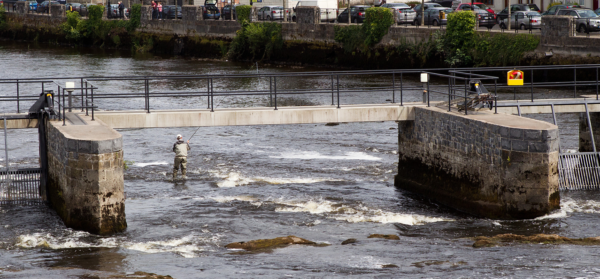 River Moy fishing